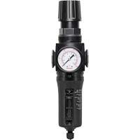 Filtre/r&eacute;gulateur drain manuel avec bol en m&eacute;tal Modulair 300, 1/4" NPT, 250 PSI, Capacit&eacute; de 5,1 oz liq. Solutions industrielles ALPHA