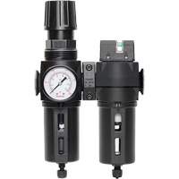 Filtre/r&eacute;gulateur + filtre coalescent drain manuel avec bol standard Modulair 300, 1/4" NPT, 150 psi, Capacit&eacute; de 5,1 oz liq. Solutions industrielles ALPHA