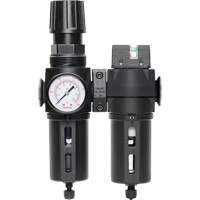 Filtre/d&eacute;tendeur & filtre coalescent Modulair 300 avec bol standard & drain manuel, 3/8" NPTF, 150 psi, Capacit&eacute; de 5,12 oz liq Solutions industrielles ALPHA