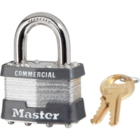 Cadenas lamin&eacute;, Argent, Cl&eacute;s identiques, Acier lamin&eacute;, Largeur de 1-3/4" Solutions industrielles ALPHA