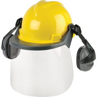 Faceshield Parts & Accessories