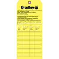 Inspection Tag, Paper, 3-6/8" W x 5-7/8" H, English Solutions industrielles ALPHA