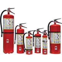 Extincteur d'incendie, ABC, Capacit&eacute; 30 lb Solutions industrielles ALPHA