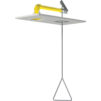 Horizontal Supply Emergency Shower Stations, Ceiling-Mount Solutions industrielles ALPHA