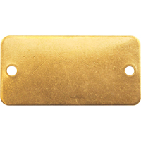 Blank Tags, Brass, 2" W x 1" H Solutions industrielles ALPHA