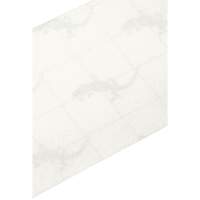 Ruban antid&eacute;rapant de premi&egrave;re qualit&eacute;, 4" x 60', Transparent Solutions industrielles ALPHA