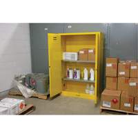 Armoire pour produits inflammables, 45 gal., 2 Porte(s), 43" La x 65" h x 18" p Solutions industrielles ALPHA
