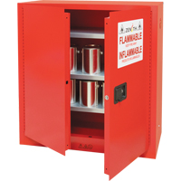 Paint/Ink Cabinet, 45 gal., 3 Shelves Solutions industrielles ALPHA