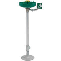 Axion&reg; Eye/Face Wash Station, Pedestal Installation, Plastic Bowl Solutions industrielles ALPHA