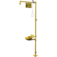 Halo Combination Emergency Shower & Eyewash Station Solutions industrielles ALPHA
