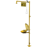 Halo Combination Emergency Shower & Eyewash Station Solutions industrielles ALPHA