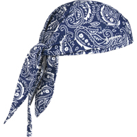Coiffes de refroidissement Chill-Its 6615, Bleu Solutions industrielles ALPHA