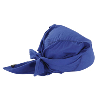 Chill-Its&reg; 6710 Cooling Triangle Hats, Blue Solutions industrielles ALPHA