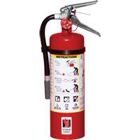 Extincteur d'incendie, ABC, Capacit&eacute; 5 lb Solutions industrielles ALPHA