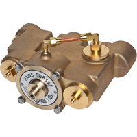 Thermostatic Mixing Valves, 78 GPM Solutions industrielles ALPHA