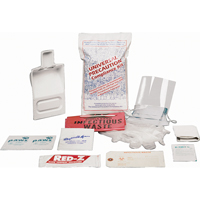 Fluid Spill Clean-Up Kit, Hazmat, Bag, None Absorbancy Solutions industrielles ALPHA