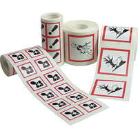 GHS Pictogram Labels, Vinyl, Roll, 4" L x 4" W Solutions industrielles ALPHA