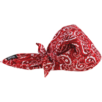 Bandeaux en triangle 6710CT de refroidissement en tissu de serviette Chill-Its, Rouge Solutions industrielles ALPHA