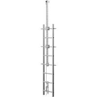 Vi-Go Continuous Ladder Climbing Safety System with Automatic Pass-Through, Stainless Steel Solutions industrielles ALPHA