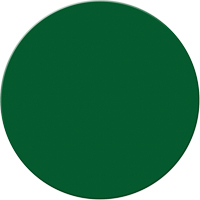 Marqueurs all&eacute;g&eacute;e/5S Armor Stripe, Cercle, 6" lo x 6" la, Vert, Plastique Solutions industrielles ALPHA