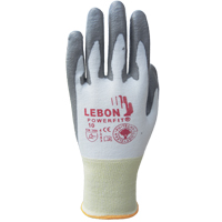 Gants r&eacute;sistants &agrave; la coupe PowerFit Lebon, Taille T-petit/6, Calibre 13, Rev&ecirc;tement Polyur&eacute;thane, Enveloppe en Poly&eacute;thyl&egrave;ne, ASTM ANSI niveau A2/EN 388 niveau B Solutions industrielles ALPHA