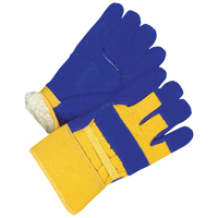 Ladies Fitter Gloves, Ladies, Grain Cowhide Palm, Cotton Inner Lining Solutions industrielles ALPHA
