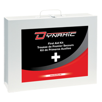 Dynamic General-Purpose Industrial First Aid Kit, Class 1 Medical Device, Metal B Solutions industrielles ALPHA