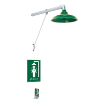Freeze Protected Drench Shower, Wall-Mount Solutions industrielles ALPHA