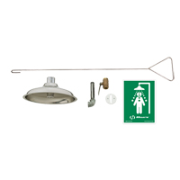 Concealed Drench Shower, Ceiling-Mount Solutions industrielles ALPHA