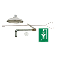 Drench Shower, Ceiling-Mount Solutions industrielles ALPHA