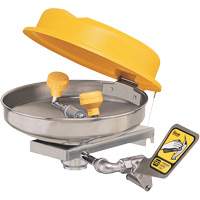 Eyewash Station, Wall-Mount Installation, Stainless Steel Bowl Solutions industrielles ALPHA