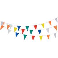 Pennant String, 60' L, Multicolour Solutions industrielles ALPHA
