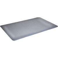Tapis antimicrobiens WD Foodmaster, Lisse, 3' x 4' x 9/16", Gris, Nitrile/Caoutchouc Solutions industrielles ALPHA