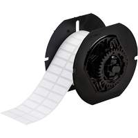 B33 Series Chemical Resistant Laboratory Labels, Polyester, 1" L x 0.375" H, White Solutions industrielles ALPHA