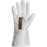 Ground Hog Electro-Static Spray Painting Gloves, Size Large, 11.5" L, Polyurethane Solutions industrielles ALPHA