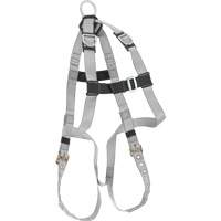 Harnais &eacute;conomique de conformit&eacute; B Dynamic, Certifi&eacute;e CSA, Classe AE, Cap. 310 lb Solutions industrielles ALPHA