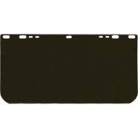 Visi&egrave;re Valuguard, Polycarbonate, Teinte Vert Solutions industrielles ALPHA