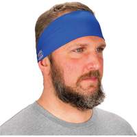Chill-Its 6634 Cooling Headband, Blue Solutions industrielles ALPHA