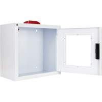 Standard Large AED Cabinet with Alarm & Strobe, Zoll AED Plus&reg;/Zoll AED 3/Cardio-Science/Physio-Control For, Non-Medical Solutions industrielles ALPHA