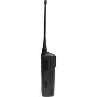 CP100d Series Non-Display Portable Two-Way Radio Solutions industrielles ALPHA