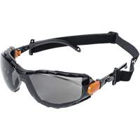 XPS502 Sealed Safety Glasses, Smoke Lens, Anti-Fog/Anti-Scratch Solutions industrielles ALPHA