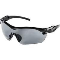XP420 Safety Glasses, Smoke Lens, Anti-Fog/Anti-Scratch Solutions industrielles ALPHA