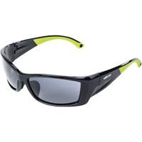 XP460 Safety Glasses, Smoke Lens, Anti-Fog/Anti-Scratch Solutions industrielles ALPHA