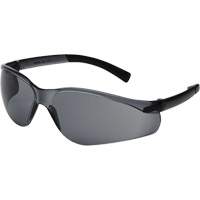 X300 Safety Glasses, Smoke Lens, Anti-Scratch, ANSI Z87+/Meets/Exceeds CSA Z94.3 Solutions industrielles ALPHA
