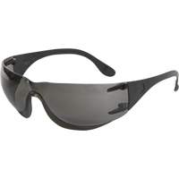 Lunettes de s&eacute;curit&eacute; Adapt, Lentille Fum&eacute;e, Antibu&eacute;e/Anti-&eacute;gratignures, ANSI Z87+/R&eacute;pond ou surpasse la norme CSA Z94.3 Solutions industrielles ALPHA
