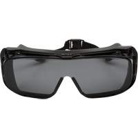 Cappture Plus Safety Goggles, Grey Lens, Anti-Fog, Closed Vent Solutions industrielles ALPHA