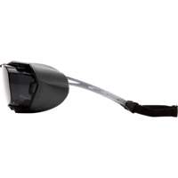 Cappture Plus Safety Goggles, Grey Lens, Anti-Fog, Closed Vent Solutions industrielles ALPHA