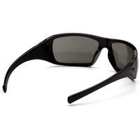 Goliath&reg; Full Frame Safety Glasses, Grey Lens, Polarized, ANSI Z87+/Meets/Exceeds CSA Z94.3 Solutions industrielles ALPHA