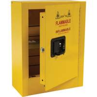 Armoire de s&eacute;curit&eacute; miniature pour produits inflammables, 2 gal., 1 Porte(s), 17" La x 22" h x 8" p Solutions industrielles ALPHA