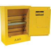 Armoire de s&eacute;curit&eacute; miniature pour produits inflammables, 2 gal., 1 Porte(s), 17" La x 22" h x 8" p Solutions industrielles ALPHA
